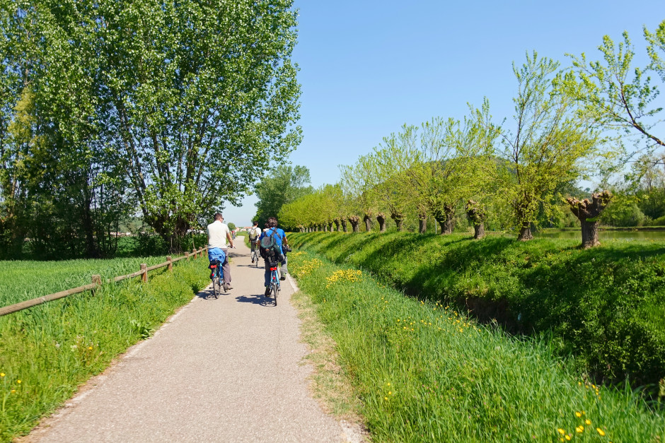 tour bicicletta colli euganei