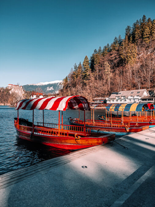 giro in pletna sul lago di bled