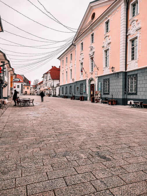 cosa visitare nei dintorni di bled Radovljica