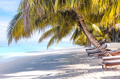 sabbia bianca del bandos resort maldives