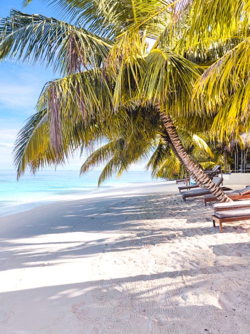 Resort alle Maldive: andiamo al Bandos Maldives